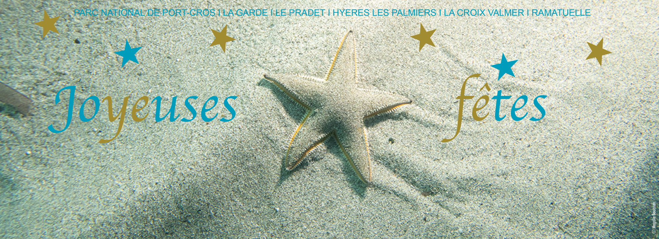 Joyeuses fêtes. Etoile de mer sur fond sableux