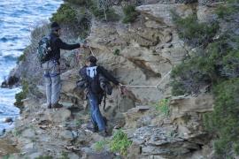 Prospection des terriers de Puffins yelkouan en falaise