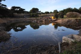 Nettoyage des lagunes Porquerolles