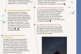 pages_8.jpg
