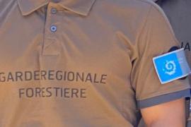 photo_grf_logo.jpg