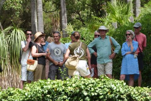 Visite guidée du Jardin des Méditerranées_Rayol-Canadel sur Mer - Visite guidée du Jardin des Méditerranées_Rayol-Canadel sur Mer