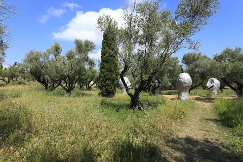 Le jardin de la Villa Carmignac - Villa Carmignac à Porquerolles