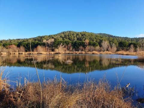 Etangs de la Sauvebonne à Hyères - Les étangs de la Sauvebonne, un refuge LPO Paca