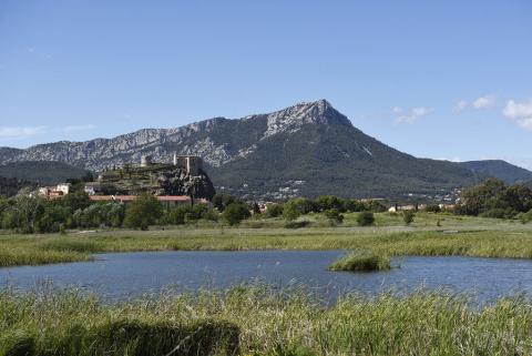 Espace Nature du Plan de La Garde - La zone humide