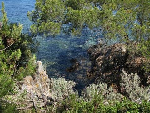 Image - Paysage littoral