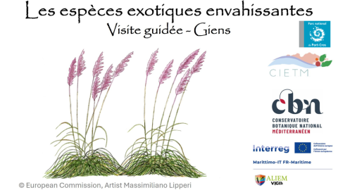 Balade nature Giens : les trésors du Var menacés_Hyères