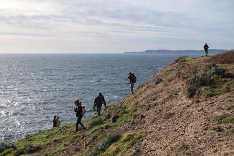 Balade nature Giens : les trésors du Var menacés_Hyères