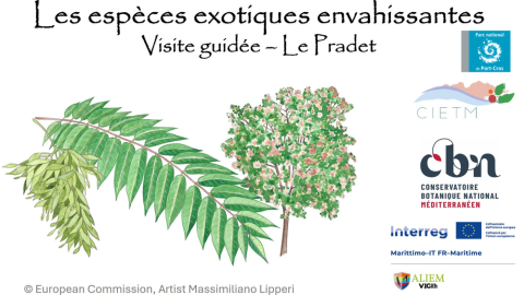Balade nature Le Pradet : les trésors du Var menacés_Le Pradet