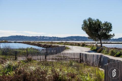 Exposition La saga des plantes libres_Hyères
