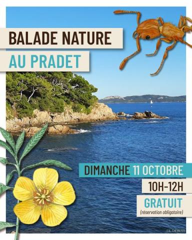 Affiche Balade nature au Pradet - Balade et atelier peinture au Pradet - Faune et flore d'ici... et d'ailleurs_Le Pradet