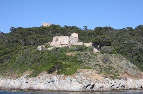 Affiches des forts - Les forts du Moulin et de l'Estissac vus du bateau