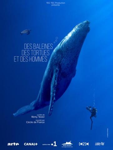 Affiche documentaire "Des baleines, des tortues et des hommes" - Affiche Jeudis du Fort du Pradeau : les tortues