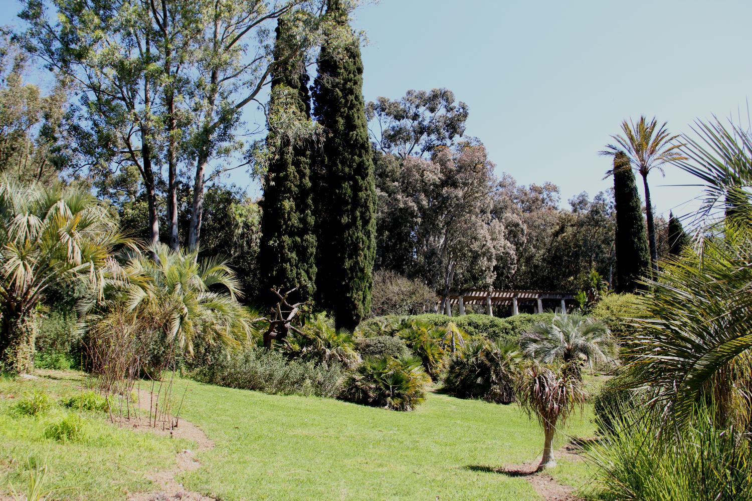 Jardin du Rayol - ©Ch. Gérardin Parc national de Port-Cros