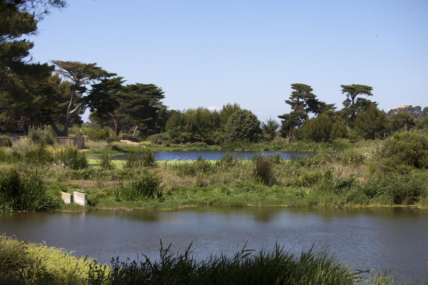 Lagunes de Porquerolles