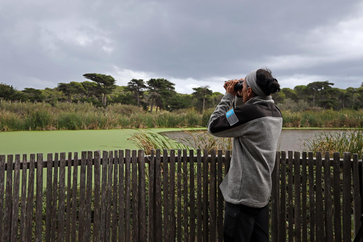  Suivi ornithologique dans les lagunes