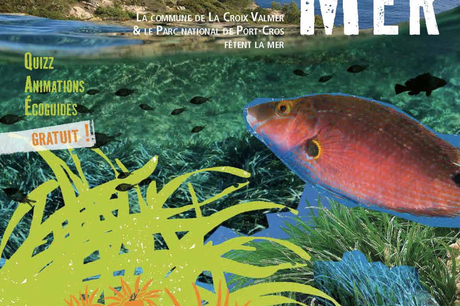 montage photo avec une vue sous marine et des collages poissons et posidonie