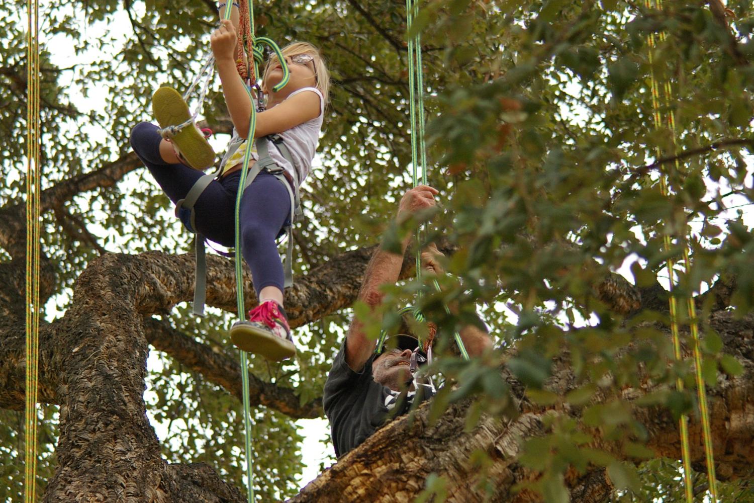 grimpez-dans-les-arbres-c-domaine-du-rayol.jpg