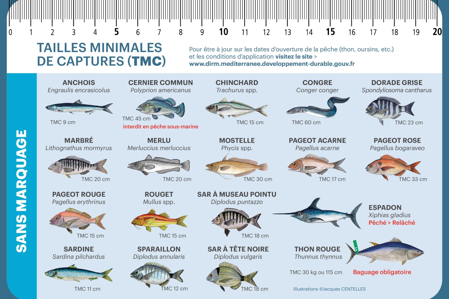 guide_fr_2021_numerique8.jpg