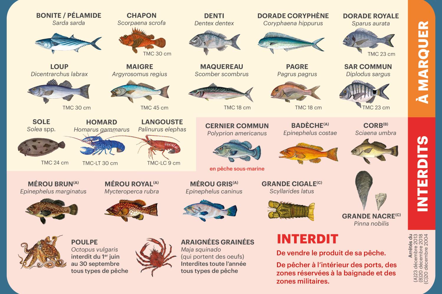 guide_fr_2021_numerique9.jpg