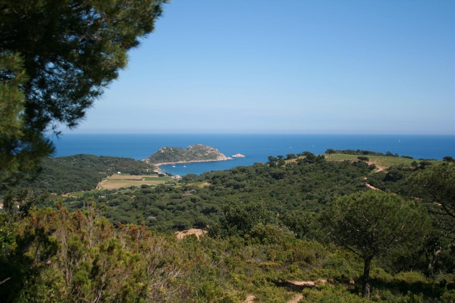 le-chemin-des-douaniers-cap-taillat.jpg