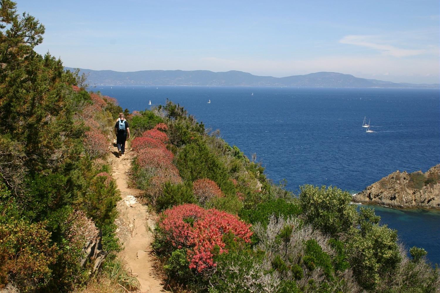 sentier-des-plantes-port-cros.jpg