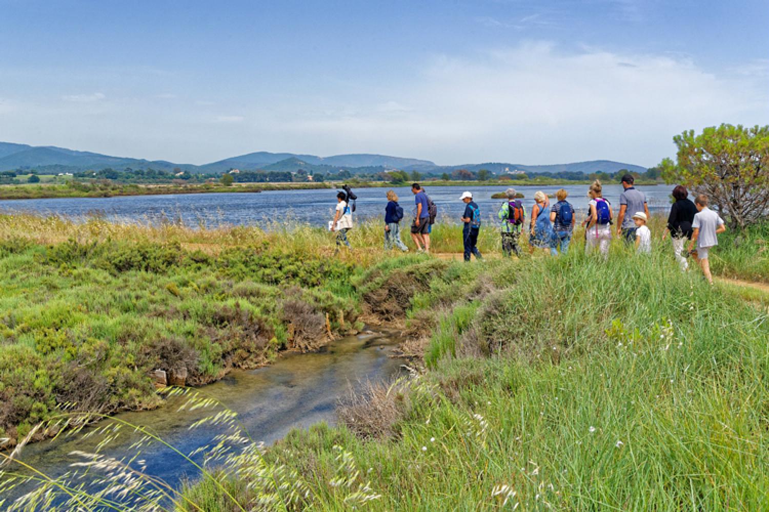 sortie-vieux-salins-ornithologie-bukudjian.jpg