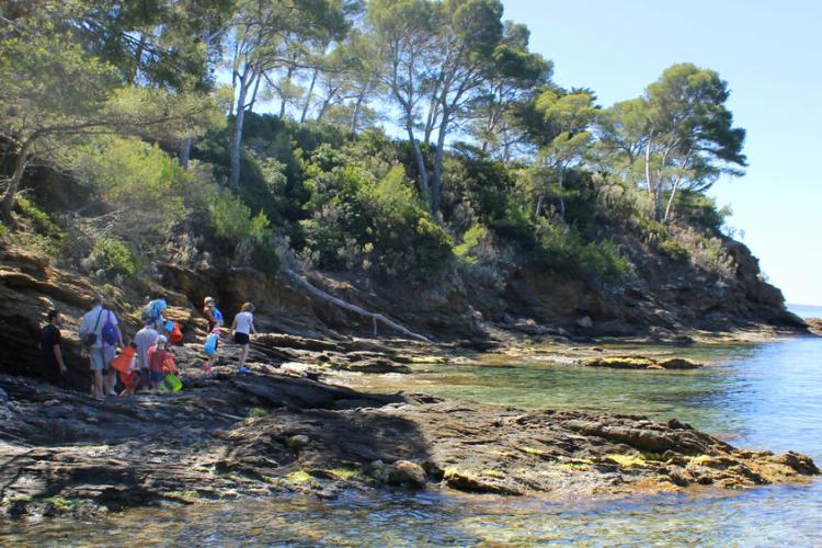 Domaine du Rayol - Pieds dans l'eau