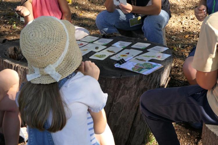 Activité enfant "Les mains dans la terre"_Rayol-Canadel sur Mer