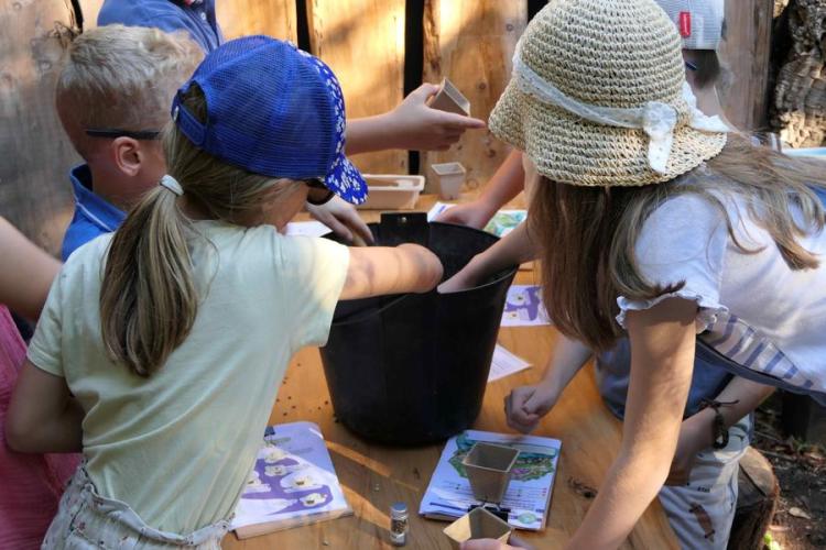 Activité enfant "Les mains dans la terre"_Rayol-Canadel sur Mer