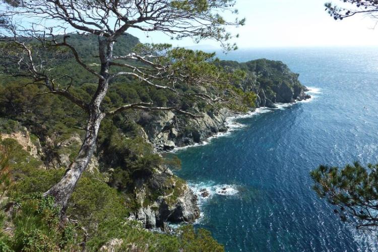 Image - Porquerolles