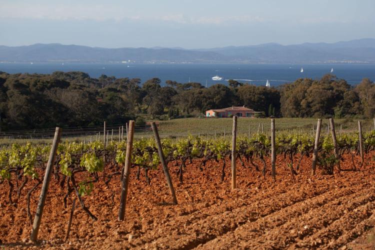 Porquerolles - Culture
