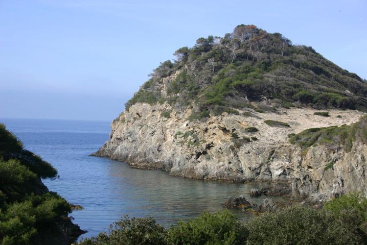 Paysage Porquerolles - Calanque du Brégançonnet