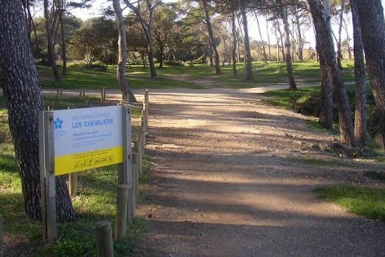 Parc des Chevaliers - Presqu'île de Giens - Hyères - Parc des Chevaliers - Presqu'île de Giens - Hyères
