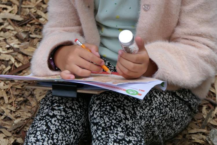 Activité enfant "Les petites bêtes de nos jardins"_Rayol-Canadel sur Mer