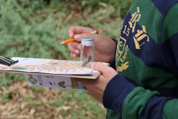 Activité enfant "Les petites bêtes de nos jardins"_Rayol-Canadel sur Mer