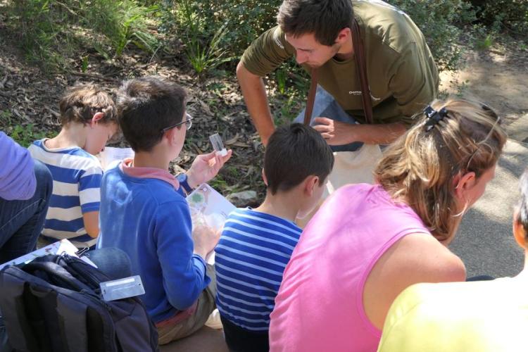 Activité enfant "Les petites bêtes de nos jardins"_Rayol-Canadel sur Mer
