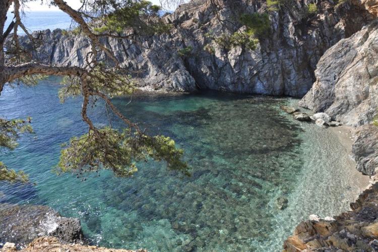 Darboussières - Hyères Presqu'ile de giens