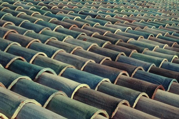 Villa Carmignac  musée d'art contemporain_Hyères - La Villa Carmignac sur l'île de Porquerolles (Var, France)