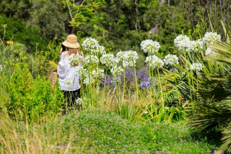 Villa Carmignac  musée d'art contemporain_Hyères - La Villa Carmignac sur l'île de Porquerolles (Var, France)