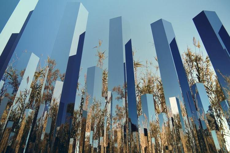 Villa Carmignac  musée d'art contemporain_Hyères - Jeppe Hein, Path of Emotions, 2018 Stèles en poli miroir Envergure : 15m – 214 stèles