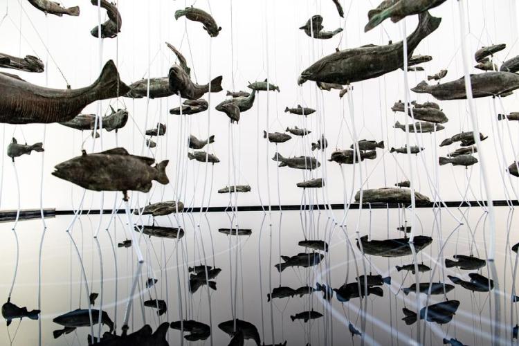 Villa Carmignac  musée d'art contemporain_Hyères - Bruce Nauman, One Hundred Fish Fountain, 2005 Bronze, acier et metal 76,2 X 85,3 X 0,2 m