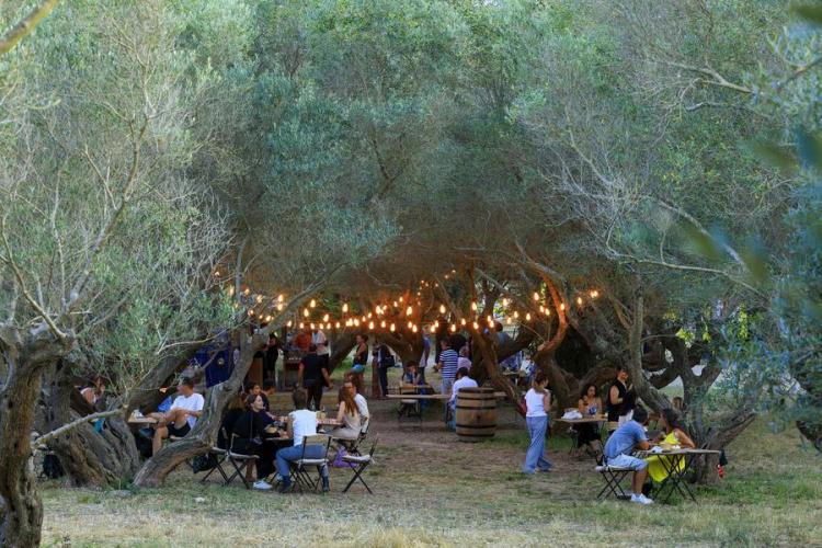 Villa Carmignac  musée d'art contemporain_Hyères - Food-truck L'Oliveraie
