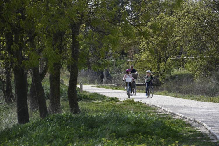 Espace nature départemental du Plan - 