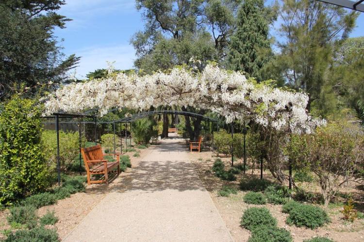 Jardin Emmanuel Lopez au mois d'avril - Jardin Emmanuel Lopez au mois d'avril