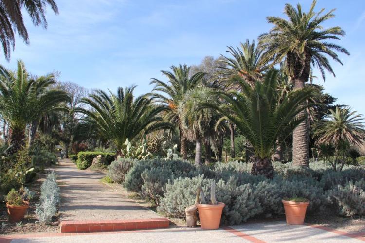 Jardin Emmanuel Lopez - Jardin Emmanuel Lopez