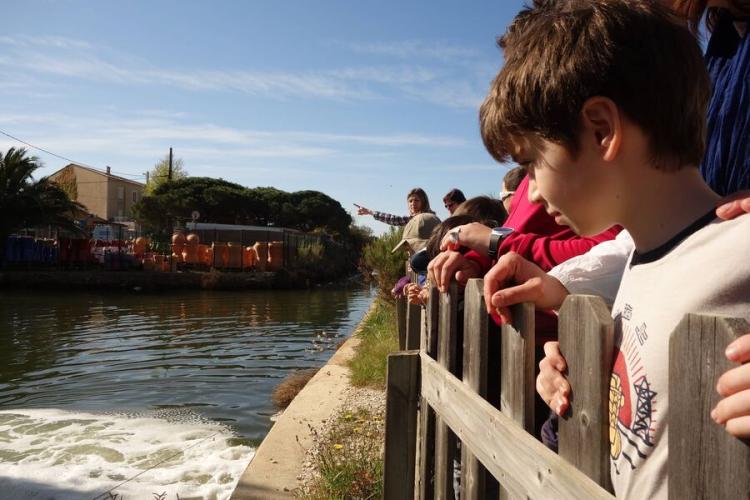 visite guidée au pays du sel salin des pesquiers enfants ludique - visite guidée au pays du sel salin des pesquiers enfants ludique