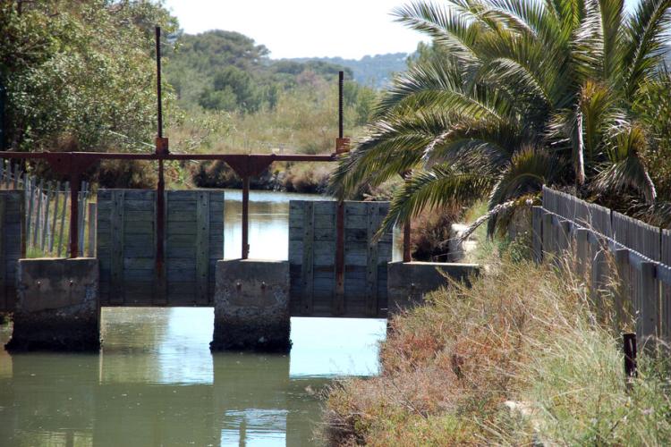 Visite guidée Histoire du sel Hyeres La Capte