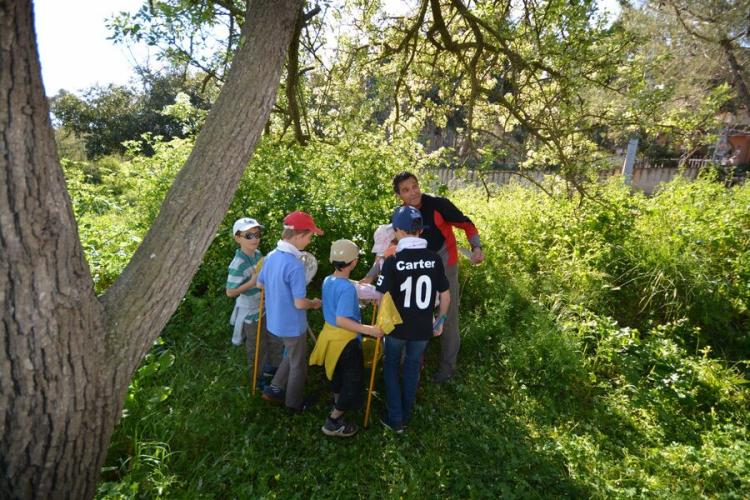 Visite nature Fernando Sandoval petit parcours dans le maquis presqu'île de Giens