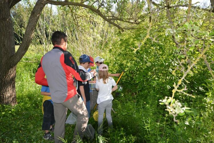 Visite nature Fernando Sandoval petit parcours dans le maquis presqu'île de Giens